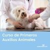 curso primeros auxilios animales