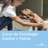 curso de psicologia canina y felina