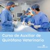 curso de auxiliar de quirofano veterinario