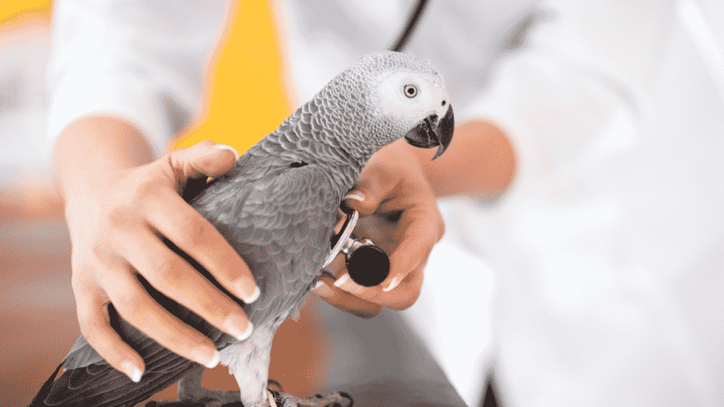 que hace un técnico de aves