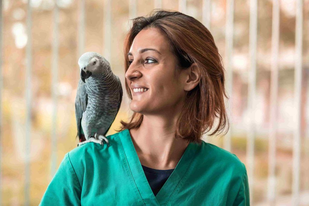 que hace un técnico de aves