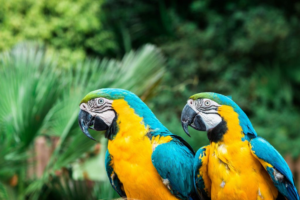 trabajar con animales exoticos en España