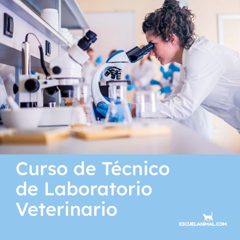 curso de tecnico de laboratorio veterinario online