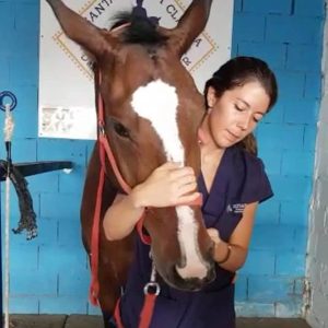 profesora del curso de fisioterapia equina