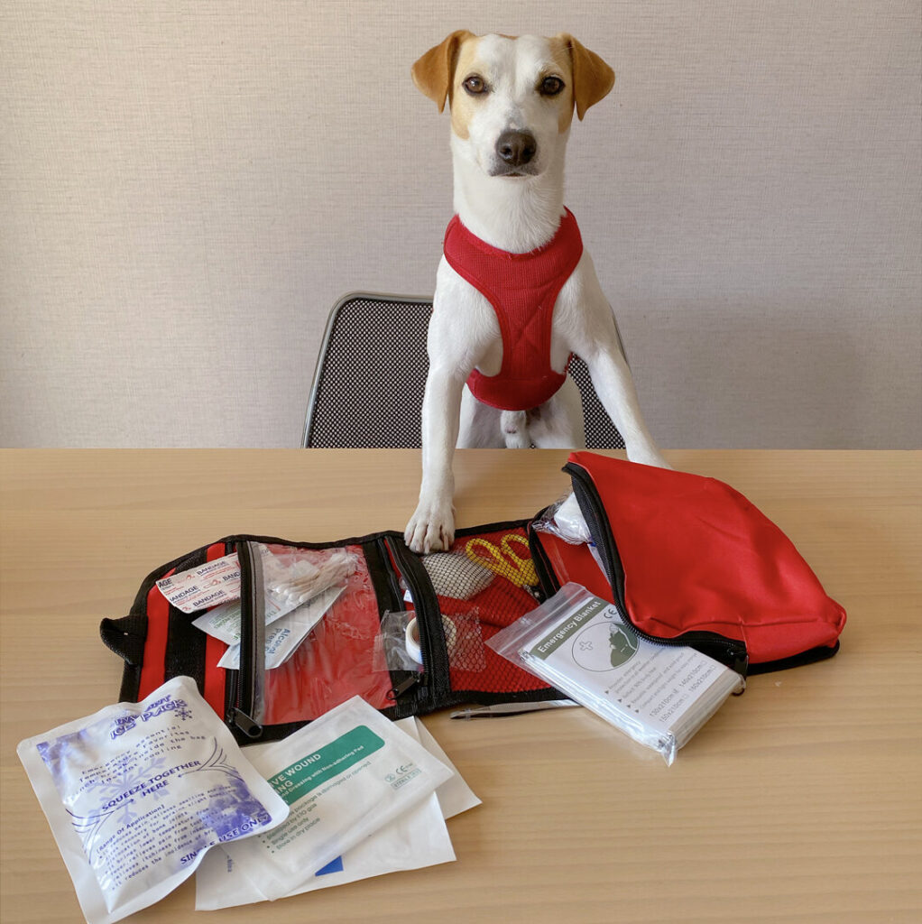 La importancia de tener un botiquín canino