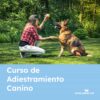 curso de adiestramiento canino online