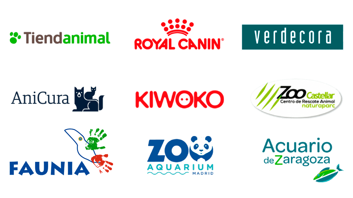 cursos de veterinaria con practicas