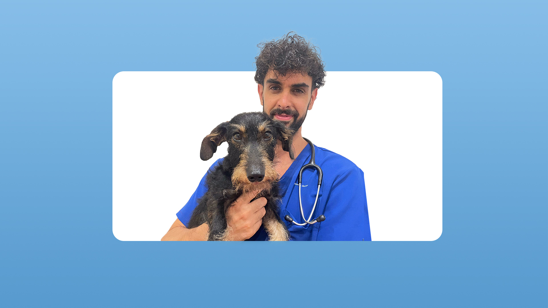 casos reales de laboratorio veterinario