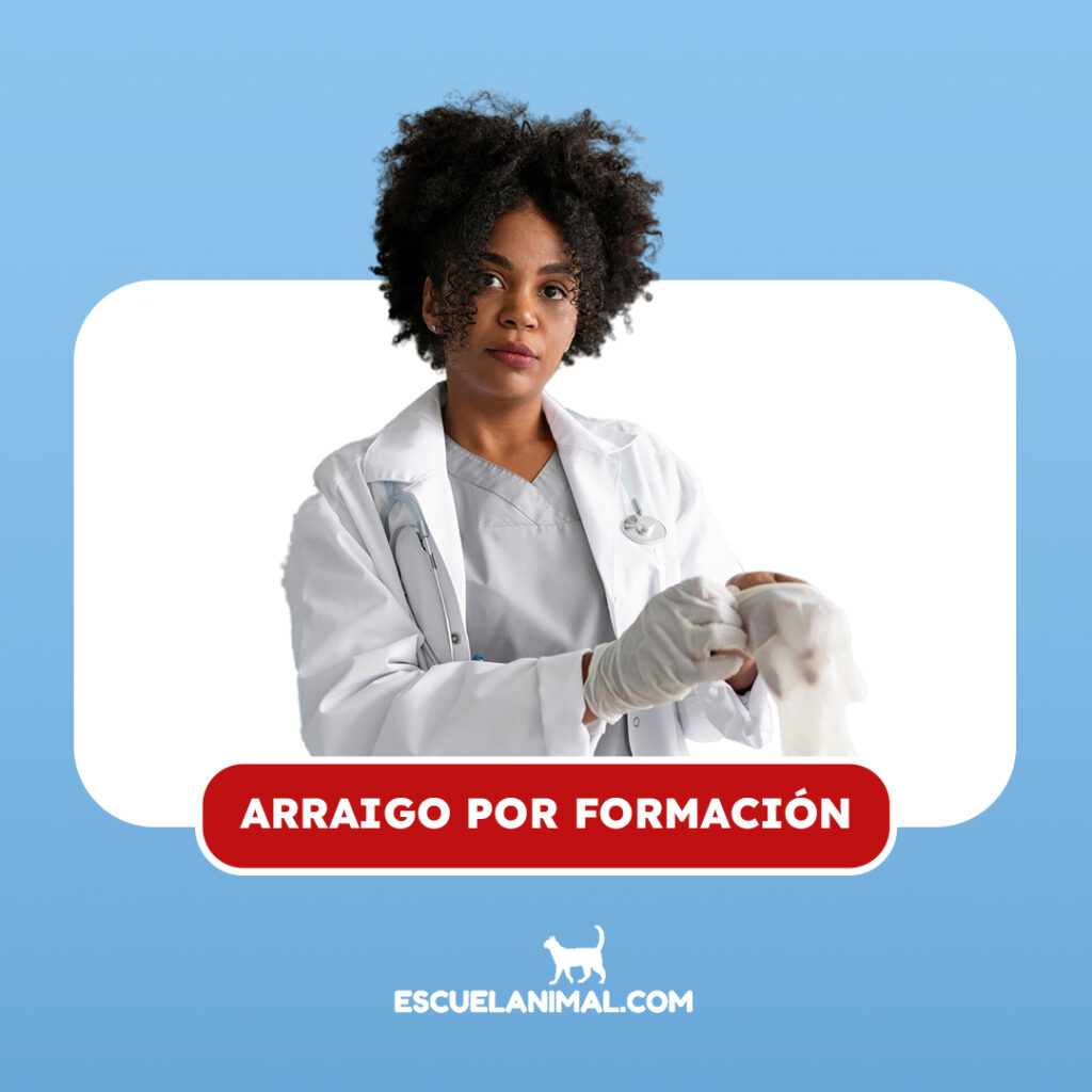 arraigo por formacion