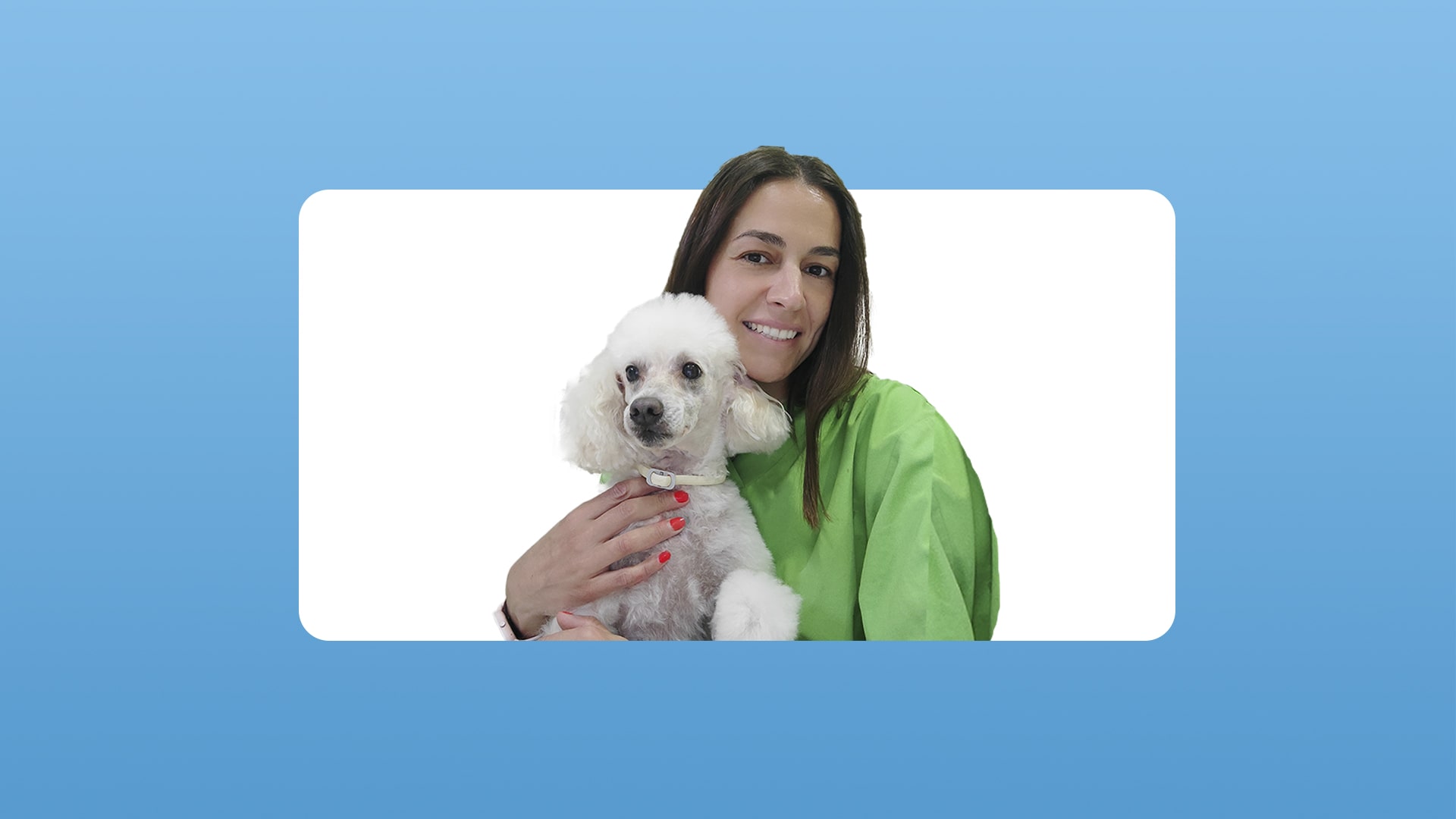 clase de traumatología veterinaria en directo