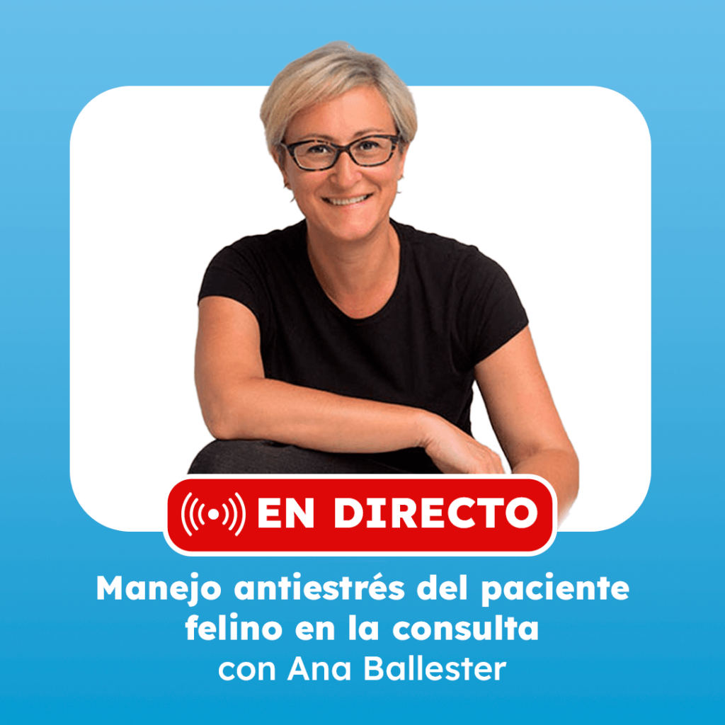 clase en directo con ana ballester