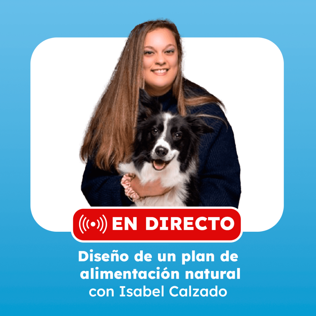 clase en directo isabel calzado