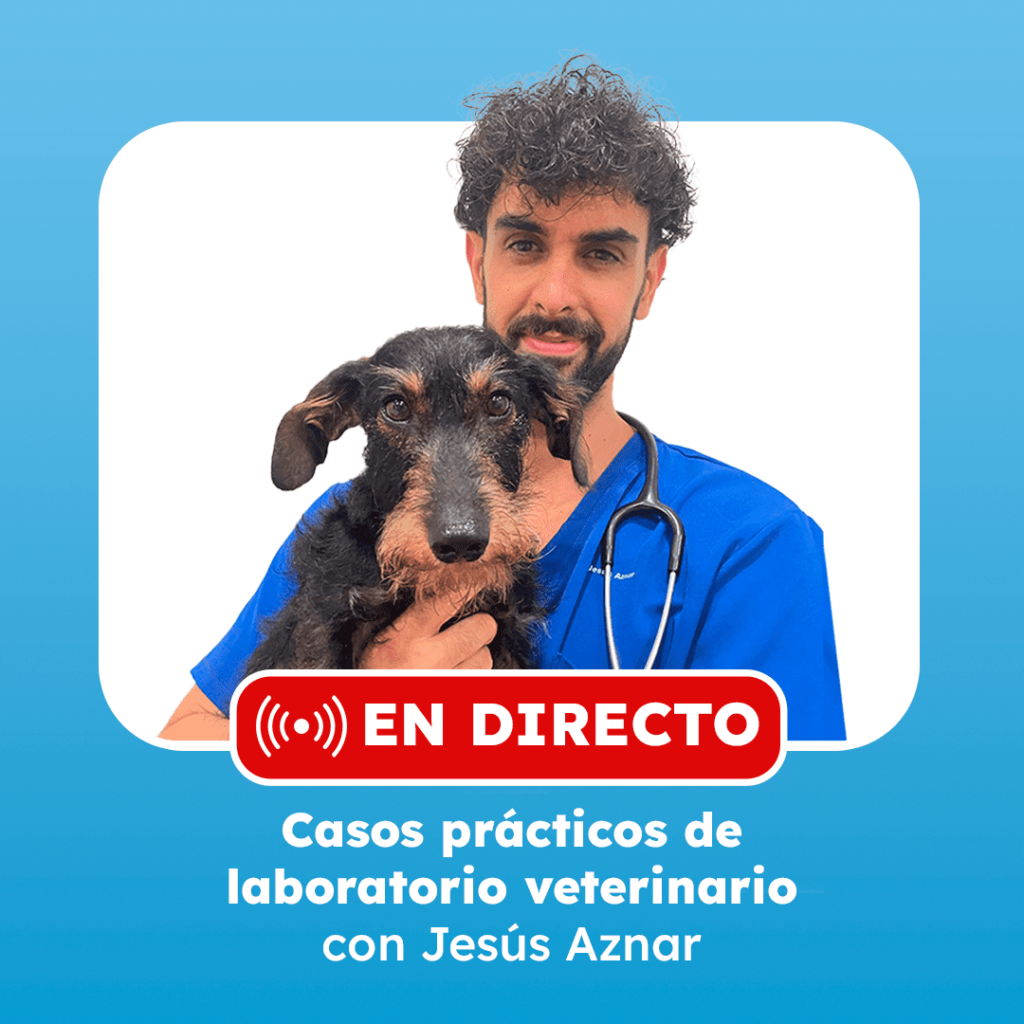 clase en directo jesus aznar