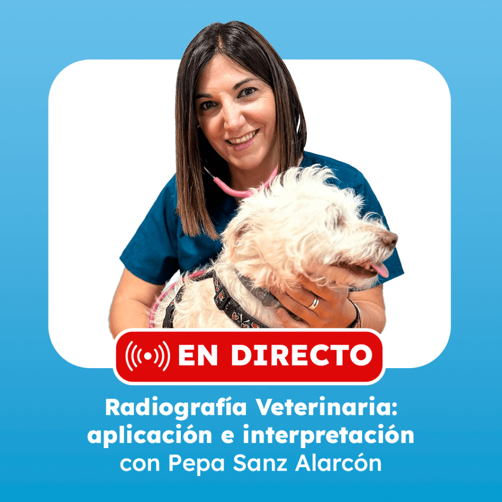 clase en directo con pepa sanz alarcon