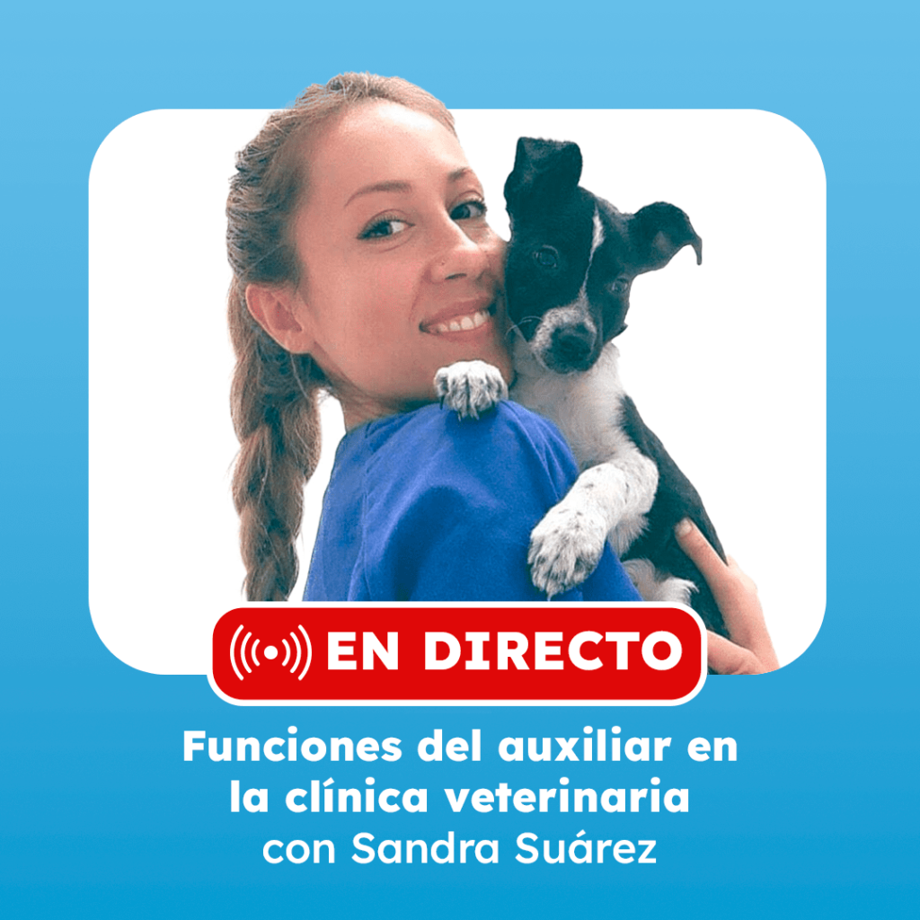 clase en directo sandra suarez