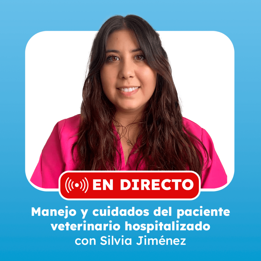 clase en directo con silvia jimenez