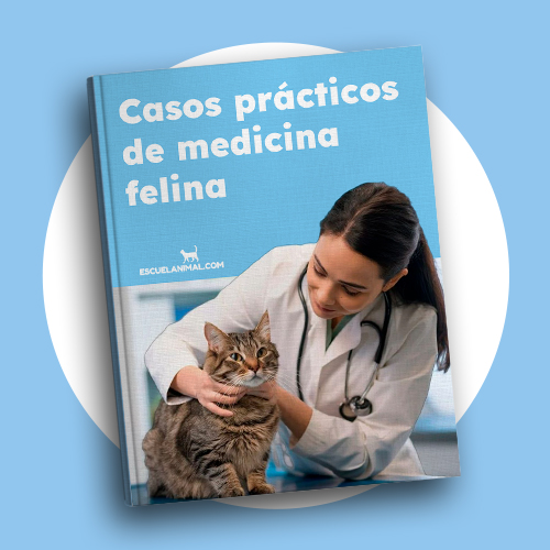 libros de casos práctico de medicina felina