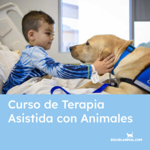 curso de terapia asistida con animales
