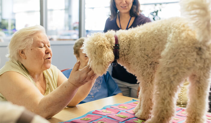 terapia asistida con animales