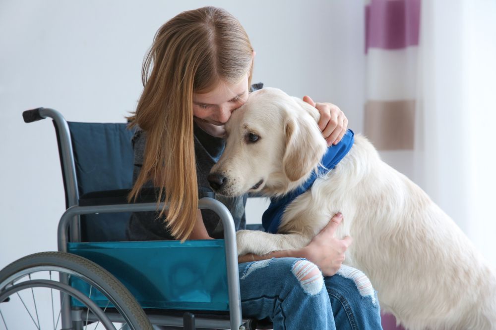 terapia asistida con animales
