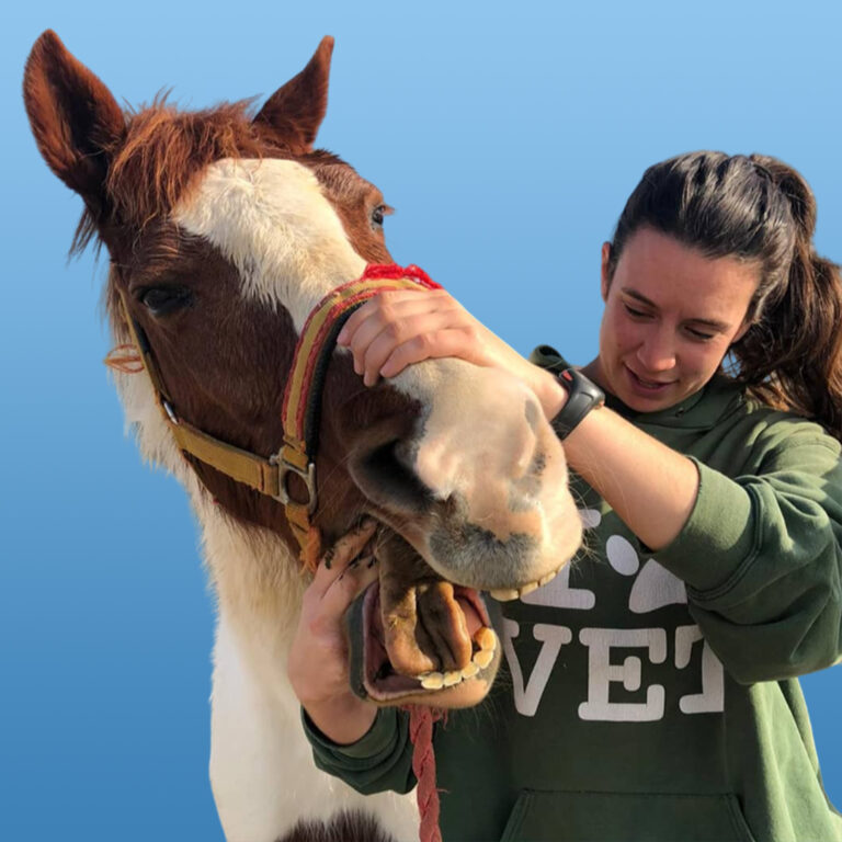 Profesora del Curso de Auxiliar Veterinario Ecuestre