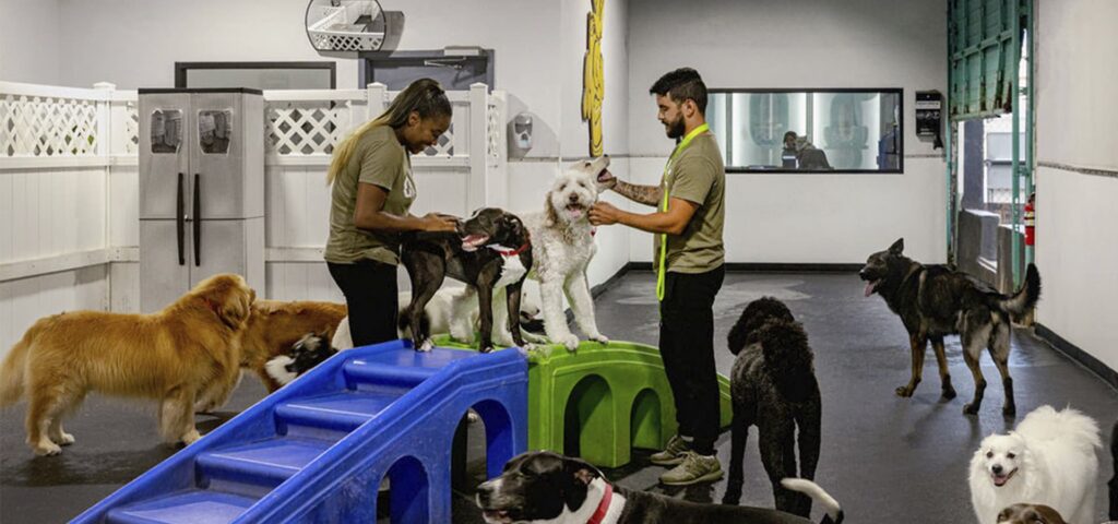 Trabajar con animales en verano