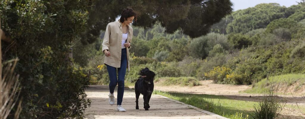 como educar a un perro desde cero