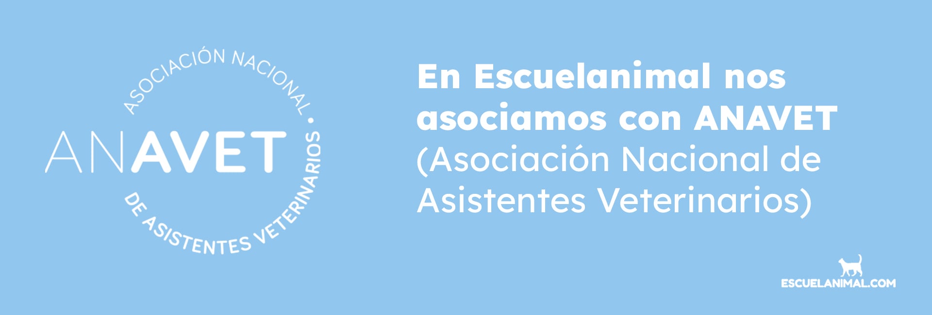 curso de anestesia veterinaria escuelanimal anavet