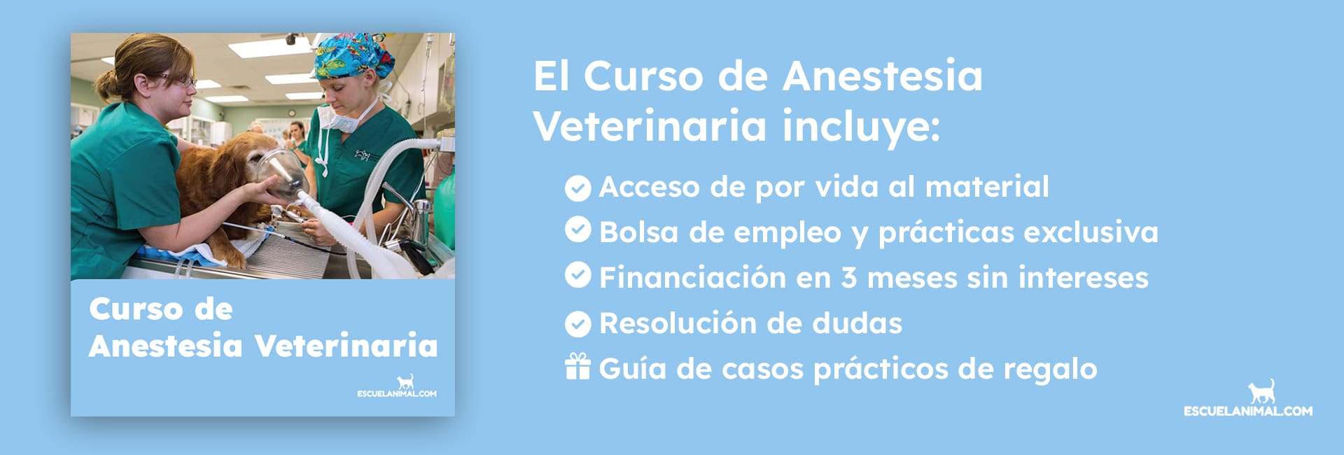 curso de anestesia veterinaria escuelanimal ventajas