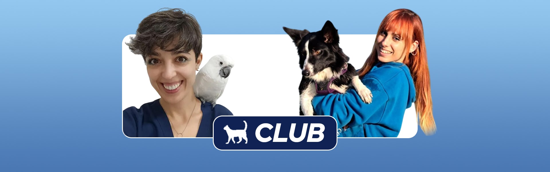 membresia veterinaria