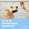 curso de farmacologia veterinaria