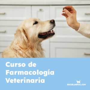 curso de farmacologia veterinaria