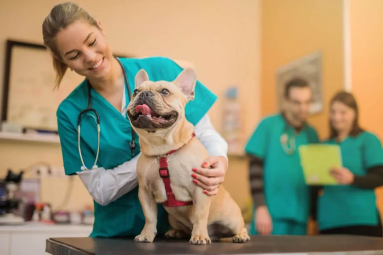 curso de farmacologia veterinaria