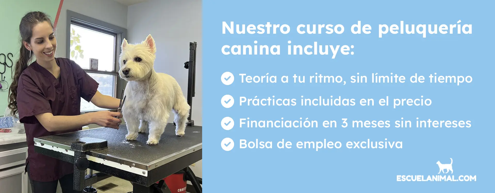 curso de peluqueria canina a coruña