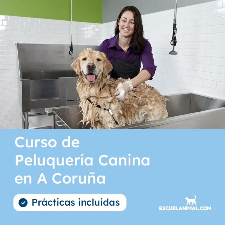 curso de peluqueria canina en a coruña