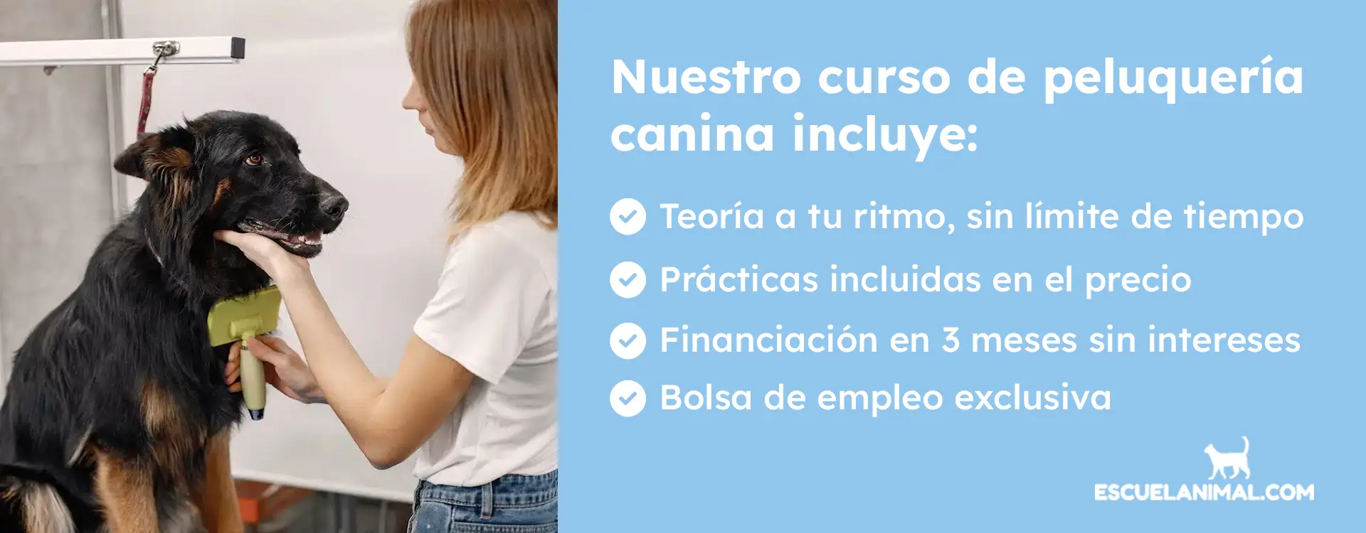 curso peluqueria canina lugo