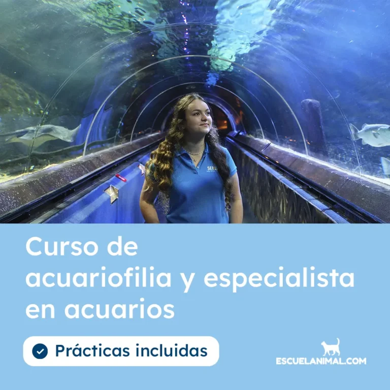 curso de acuariofilia