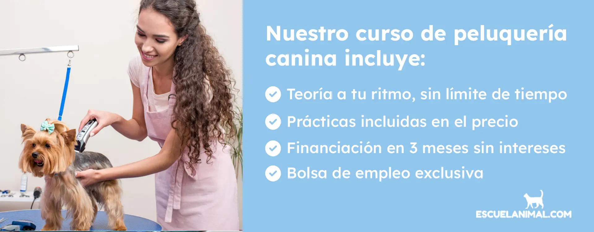 curso de peluqueria canina barcelona con practicas