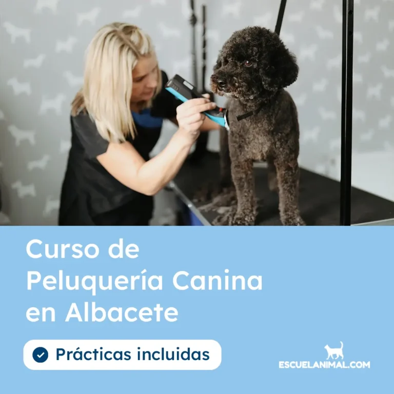 curso de peluqueria canina en albacete