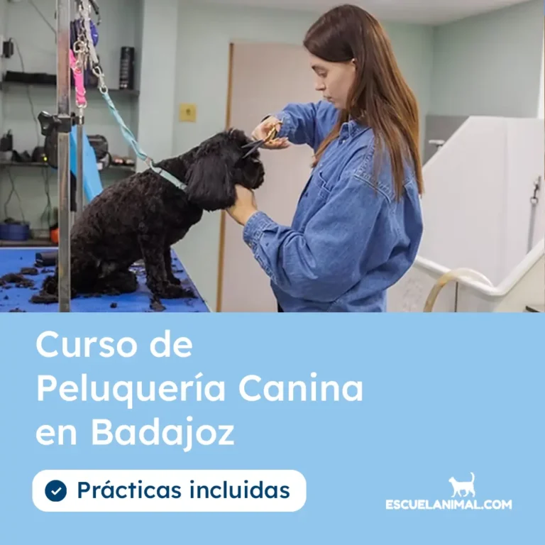 curso de peluqueria canina en badajoz