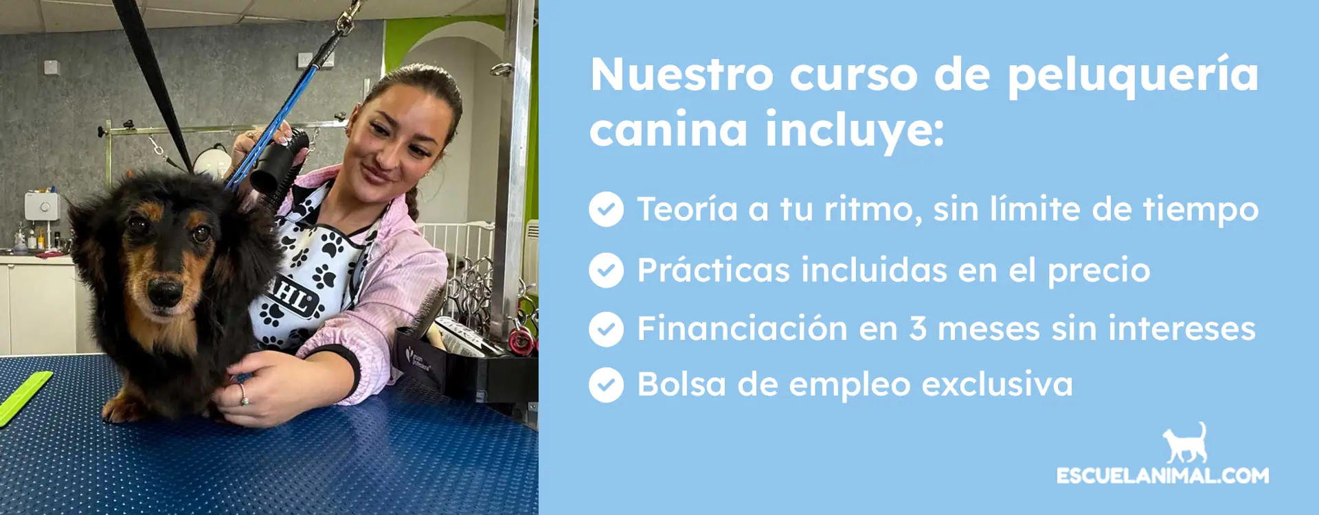 curso de peluqueria canina en santander