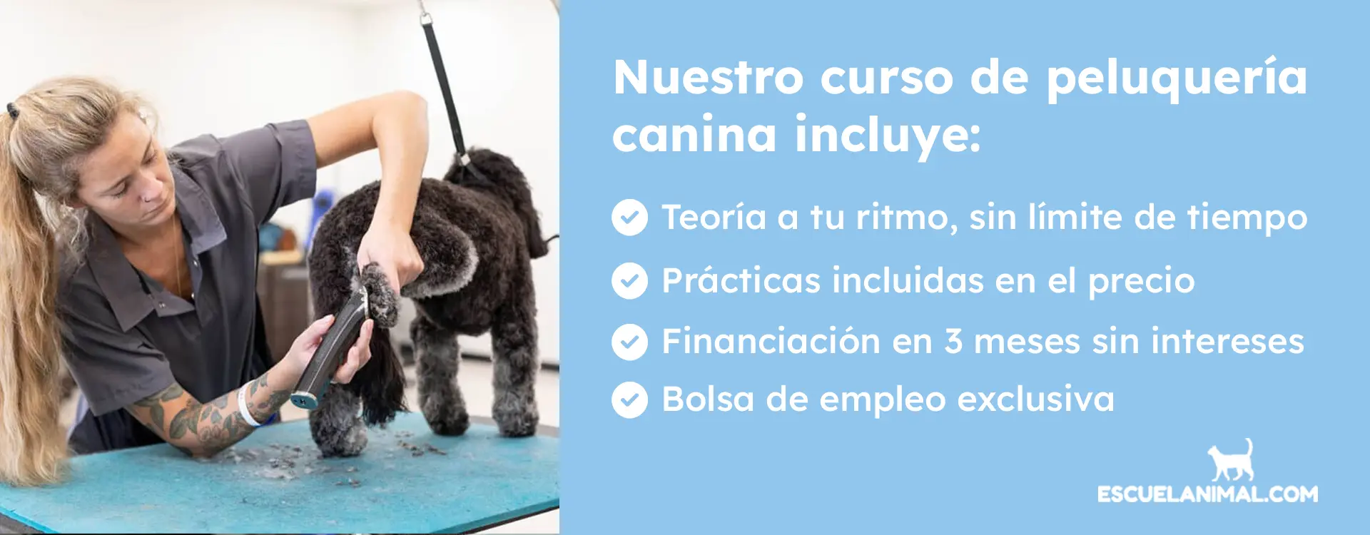 curso de peluqueria canina lerida practicas