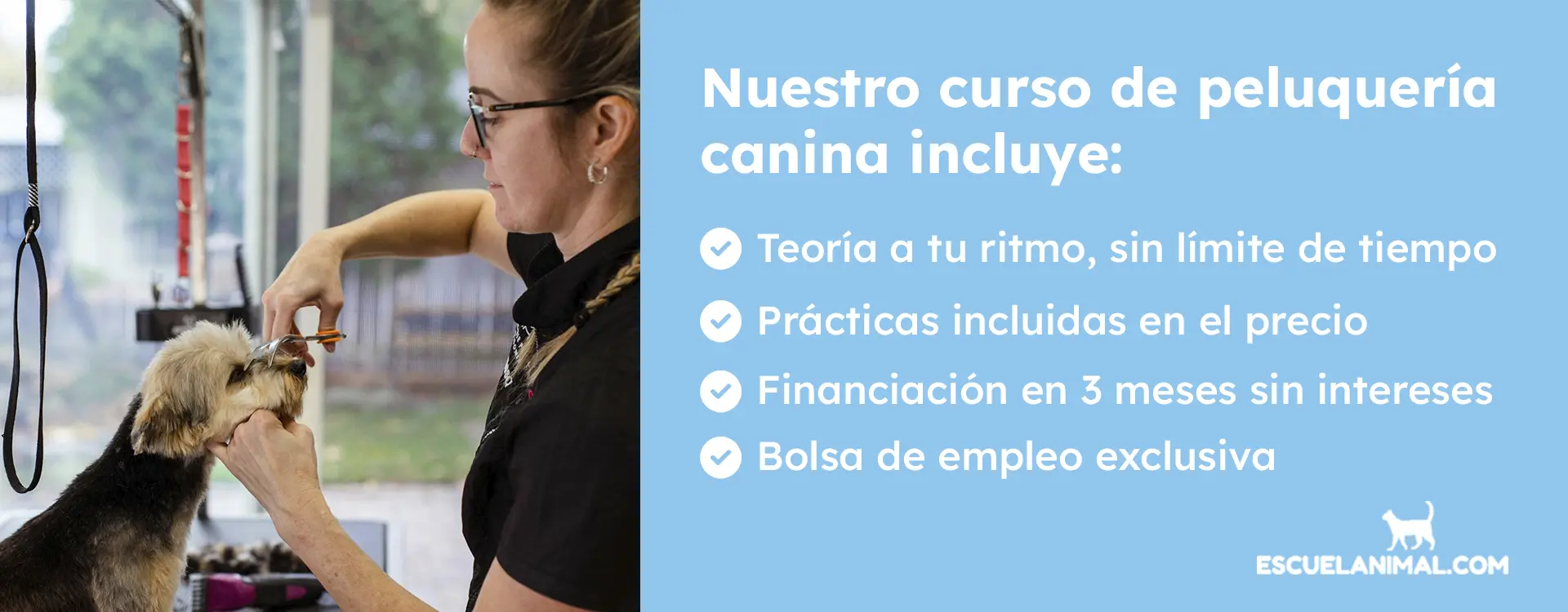 curso de peluqueria canina ourense