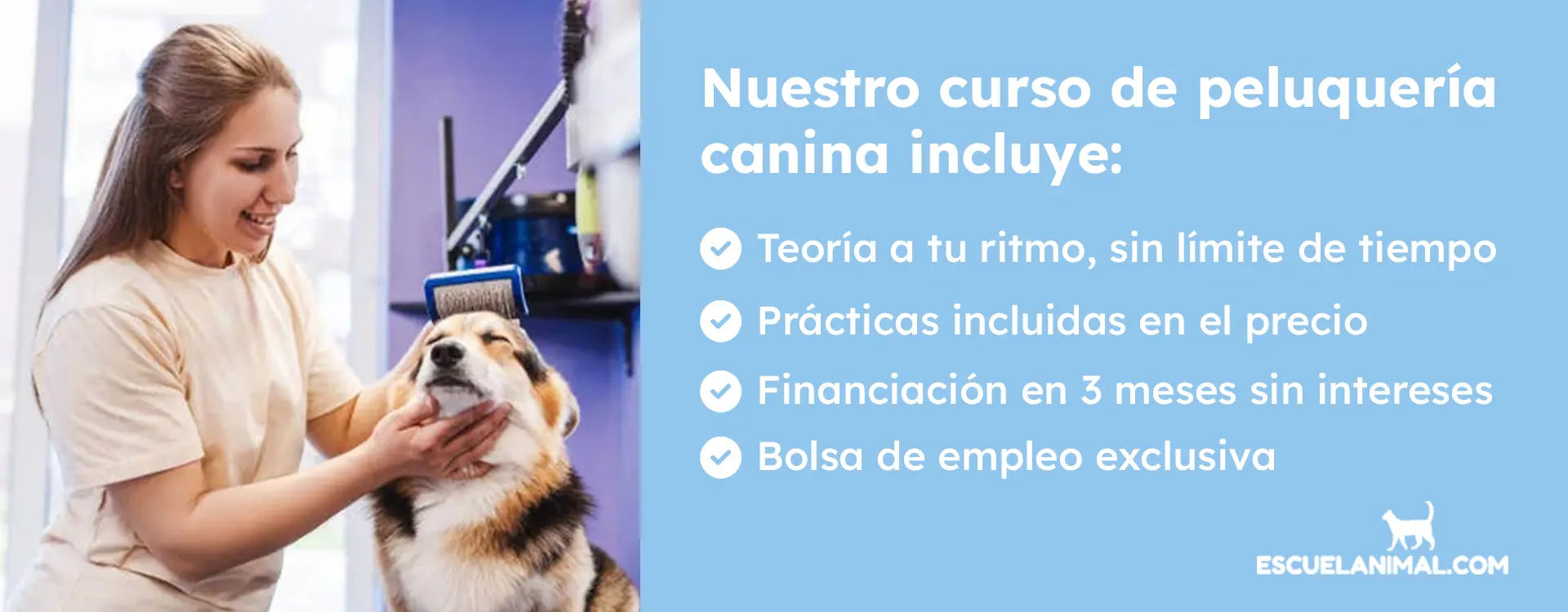 curso peluqueria canina en tarragona