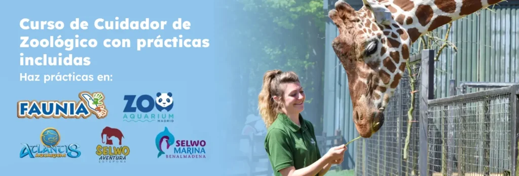 hacer practicas en faunia