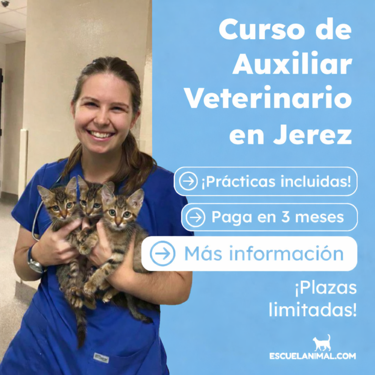 curso de auxiliar tecnico veterinario en jerez