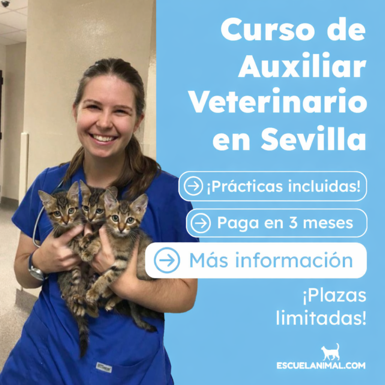 curso de auxiliar tecnico veterinario en sevilla