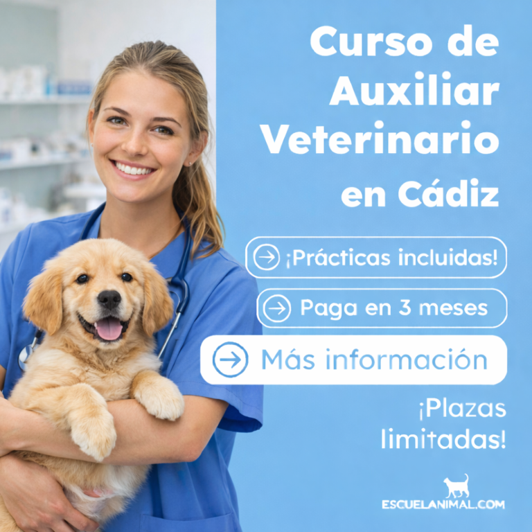 curso de auxiliar veterinario en cadiz