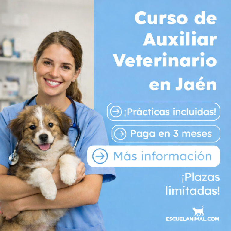 curso de auxiliar veterinario en jaen