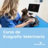 curso ecografia veterinaria